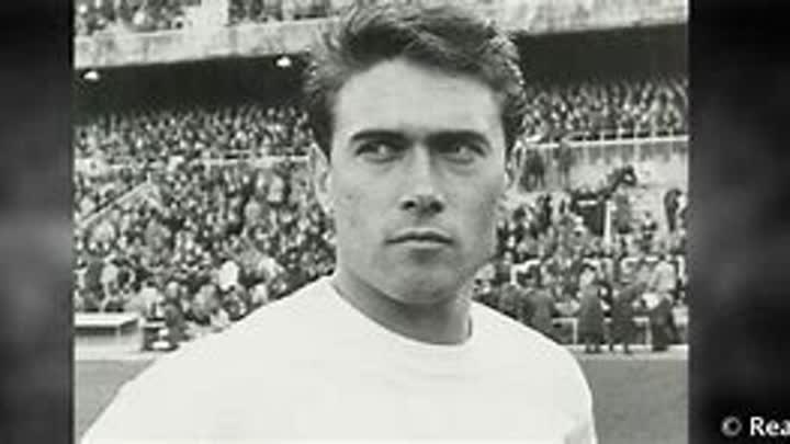 فيرناندو سيرينا