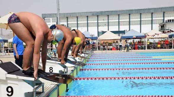 زعانف مصر تسيطر على اليوم الأول