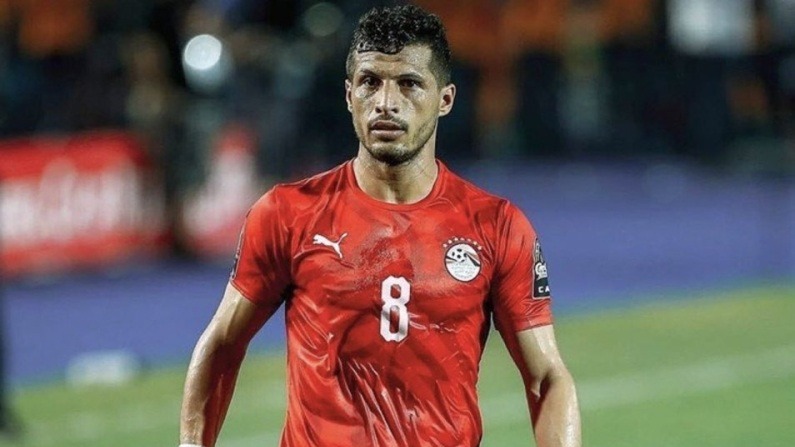 طارق حامد