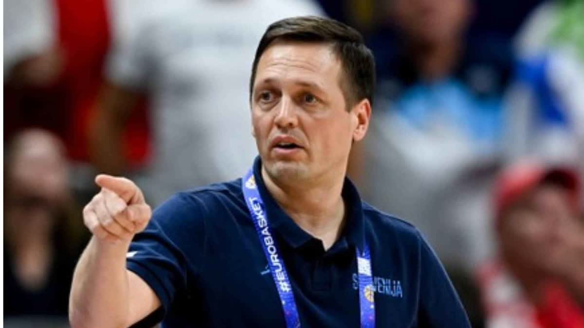 ألكسندر سيكوليتش