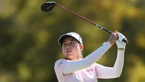 جينو ثيتيكول