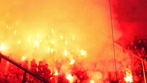 مشجعو بنفيكا