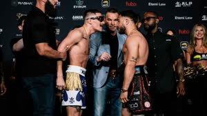 ستيوارت ونيكو غافي