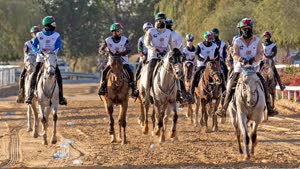 كأس سمو ولي عهد دبي للقدرة