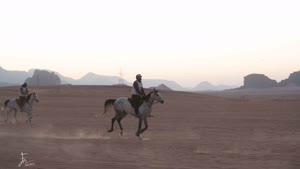 فرسان في سباق وادي رم