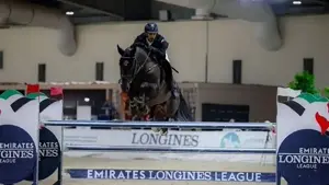 فرسان الإمارات