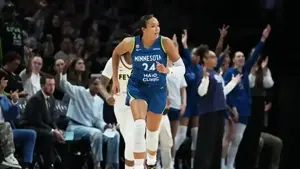 مينيسوتا لينكس