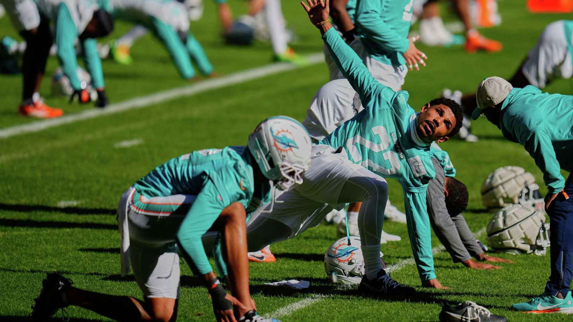 ميامي دولفينز