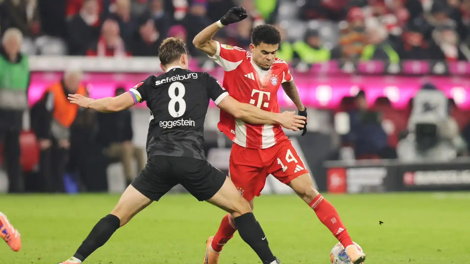 بايرن ميونخ - فرايبورغ